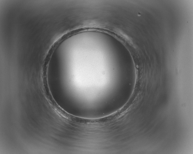 X0000067831264200604171118