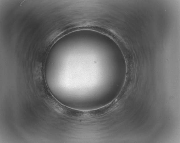 X0000067831265200604171118