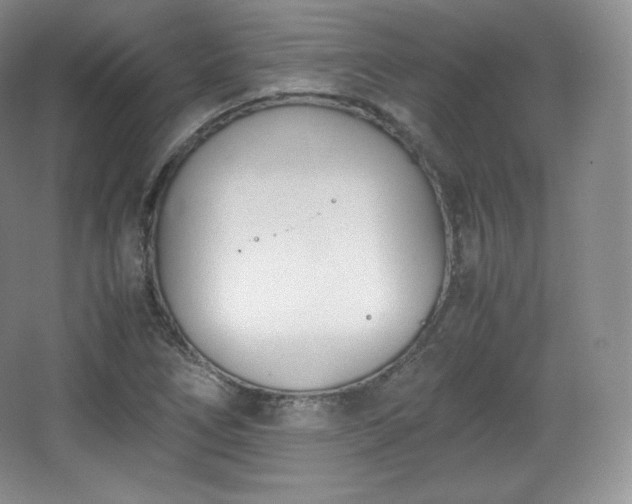 X0000067831266200604171118