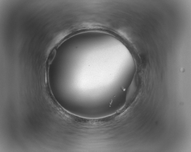 X0000067831269200604171118