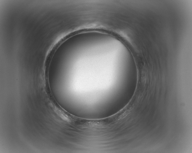 X0000067831270200604171117