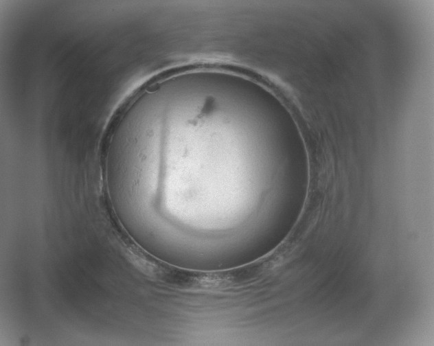 X0000067831271200604171117