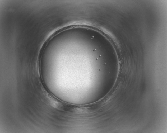 X0000067831272200604171117