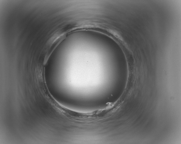 X0000067831273200604171117