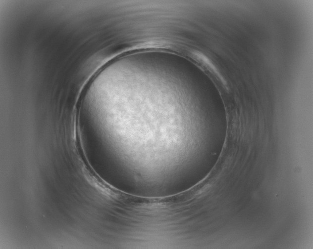 X0000067831276200604171117