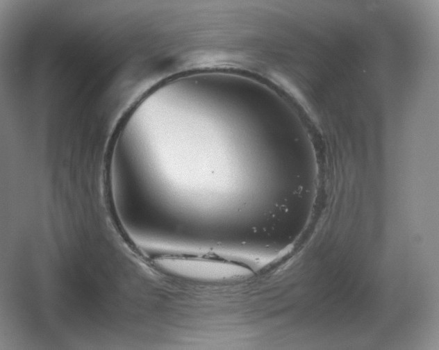 X0000067831277200604171117