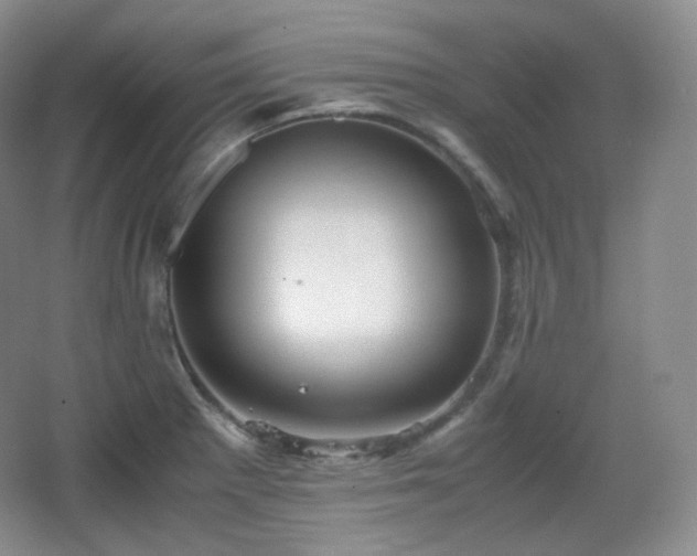 X0000067831281200604171117