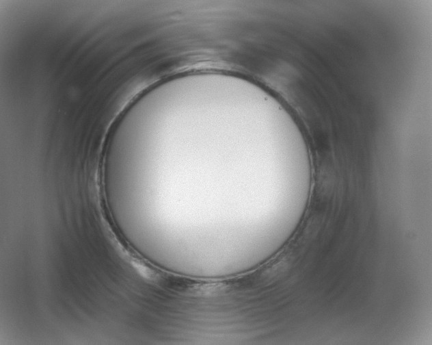 X0000067831282200604171117