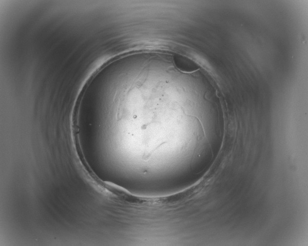 X0000067831283200604171117