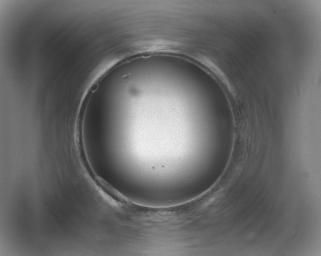 X0000067831285200604171117