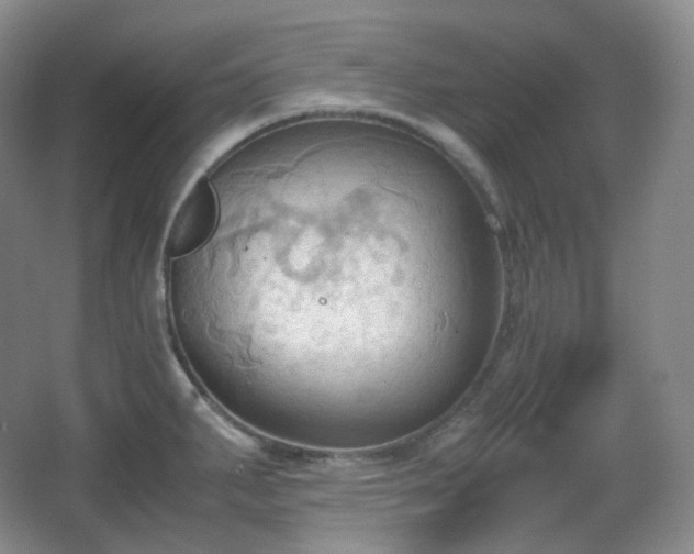 X0000067831287200604171117