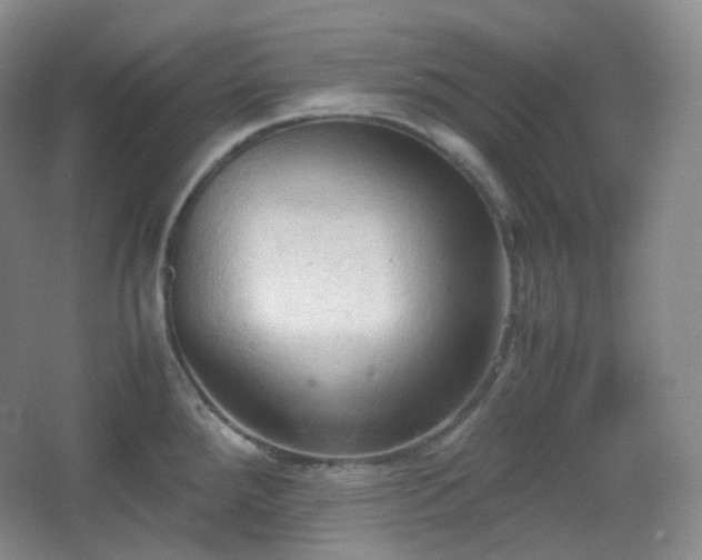 X0000067831288200604171117