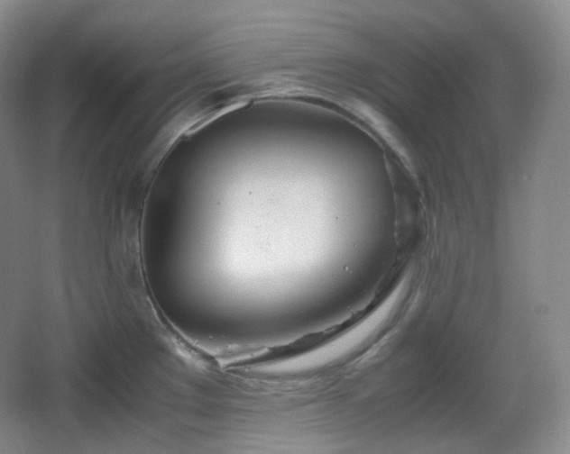 X0000067831289200604171117