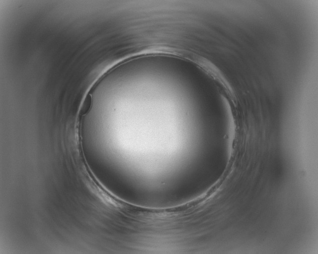 X0000067831292200604171117