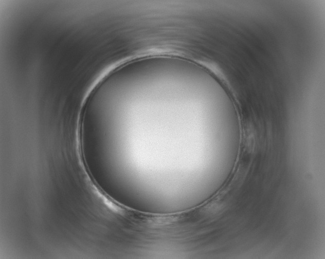 X0000067831294200604171117