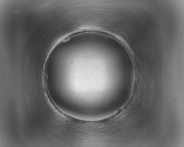 X0000067831295200604171117