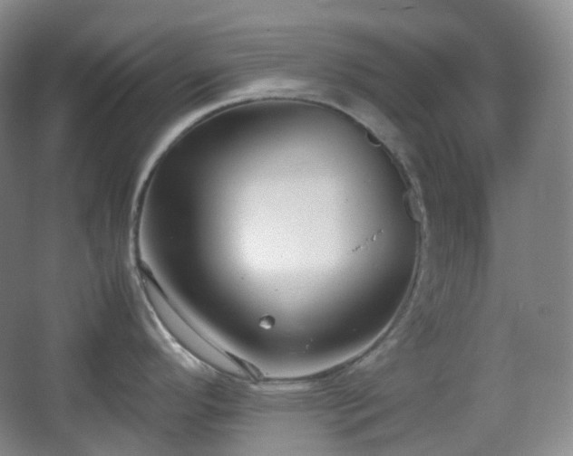 X0000067831296200604171117