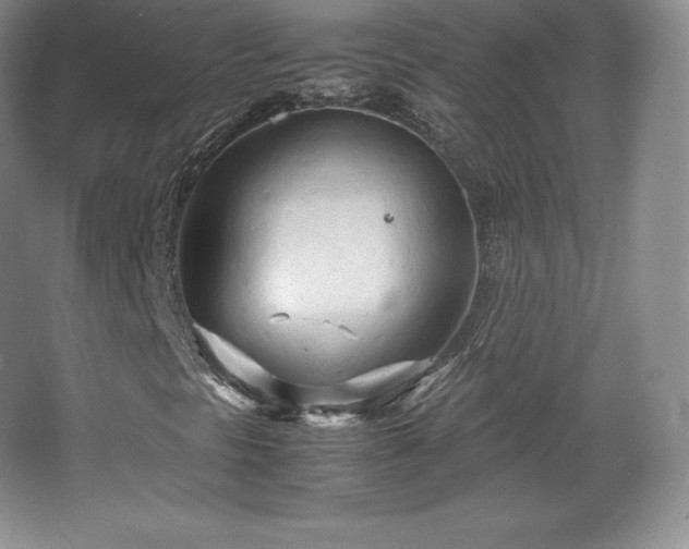 X0000067831297200604171116