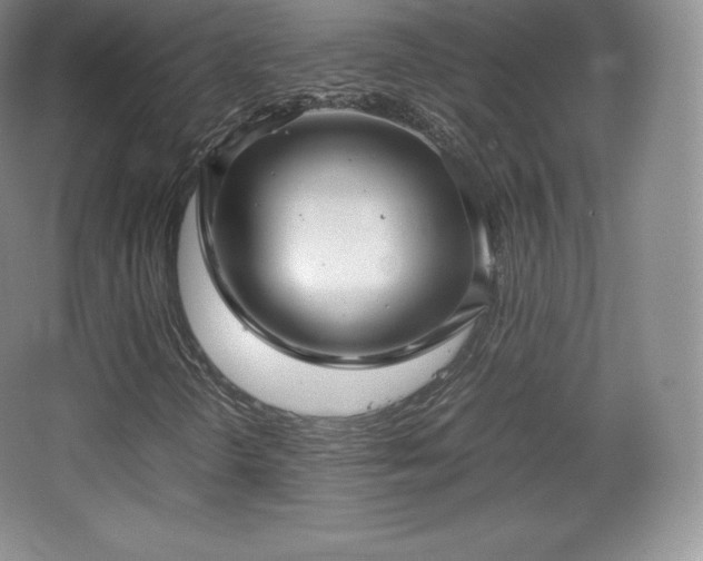 X0000067831298200604171116