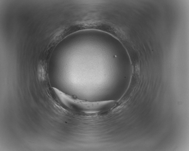 X0000067831300200604171116