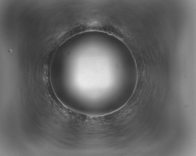 X0000067831301200604171116