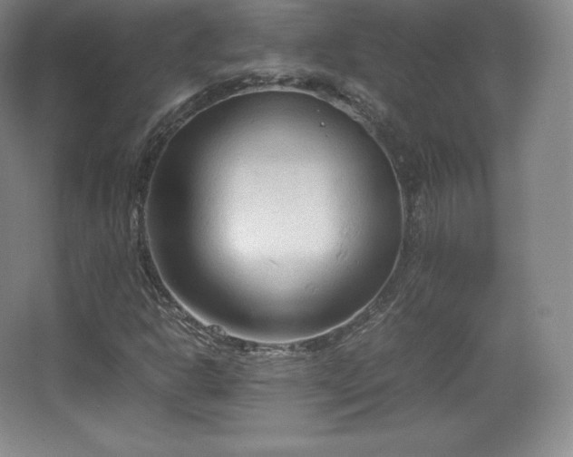 X0000067831302200604171116