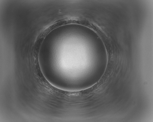 X0000067831303200604171116