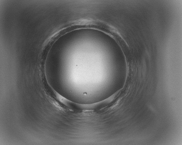 X0000067831304200604171116