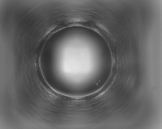 X0000067831305200604171116