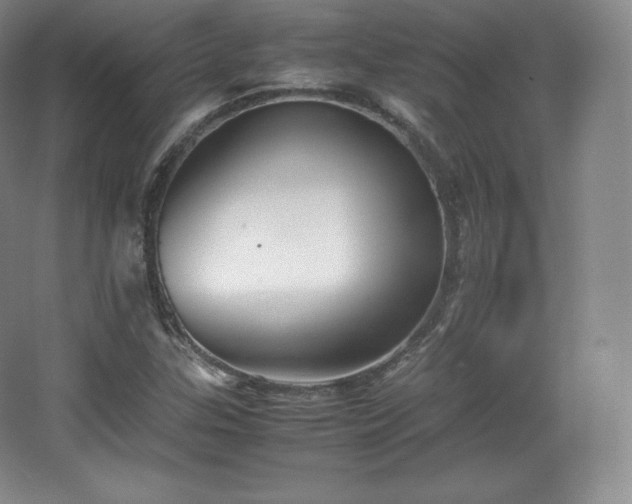 X0000067831307200604171116