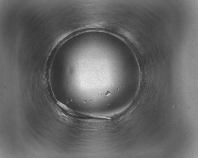 X0000067831308200604171116