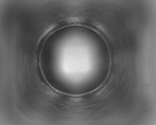 X0000067831309200604171116