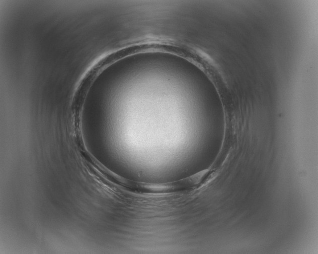 X0000067831310200604171116