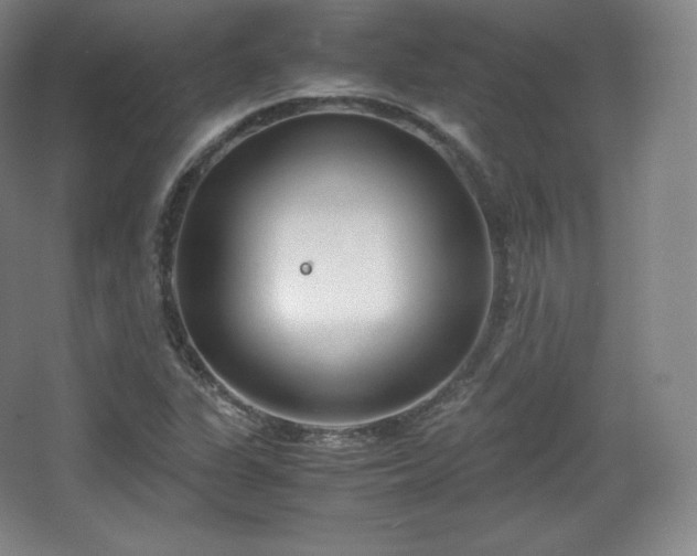 X0000067831311200604171116