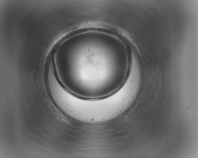 X0000067831312200604171116