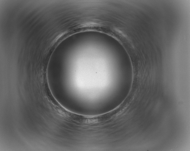 X0000067831313200604171117