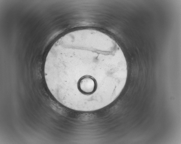 X0000067831314200604171117