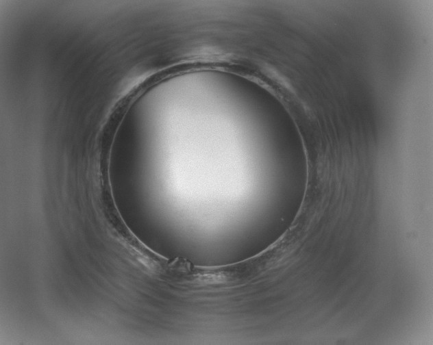 X0000067831315200604171117