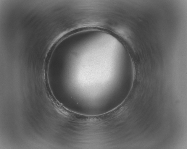 X0000067831316200604171117