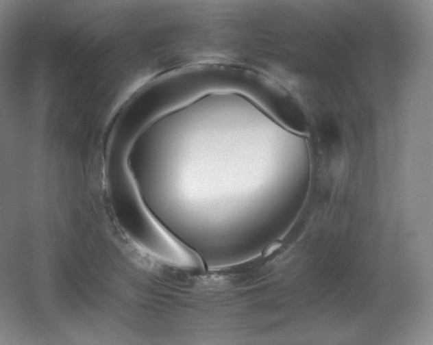 X0000067831317200604171117