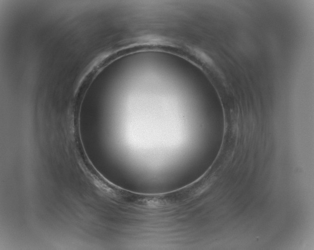 X0000067831318200604171117