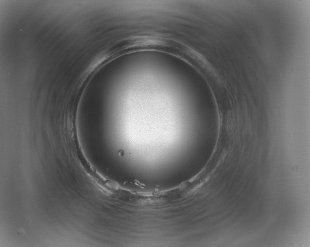 X0000067831321200604171117