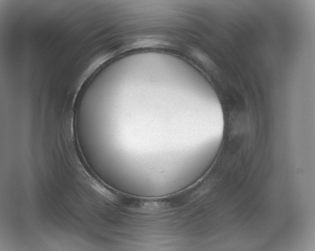 X0000067831322200604171117