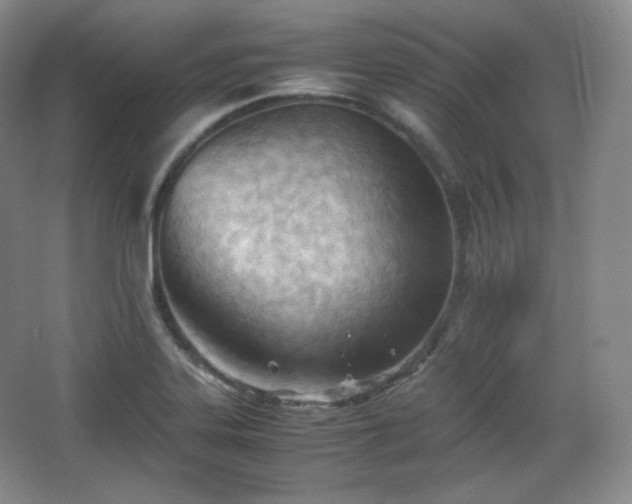 X0000067831323200604171117