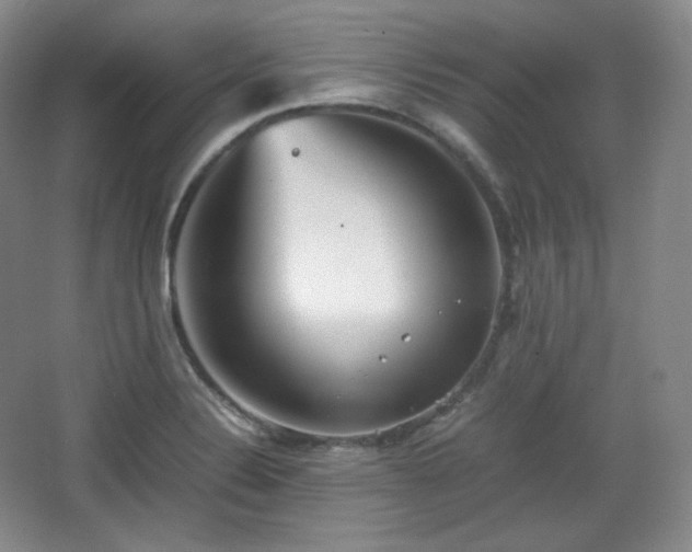 X0000067831324200604171117