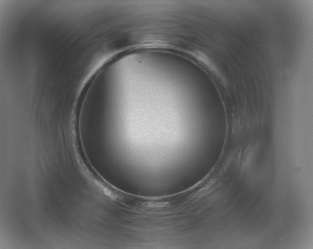 X0000067831325200604171117