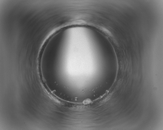 X0000067831326200604171117