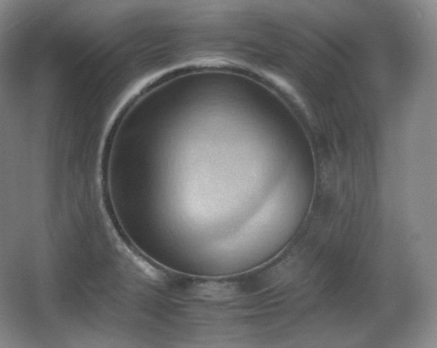 X0000067831327200604171117