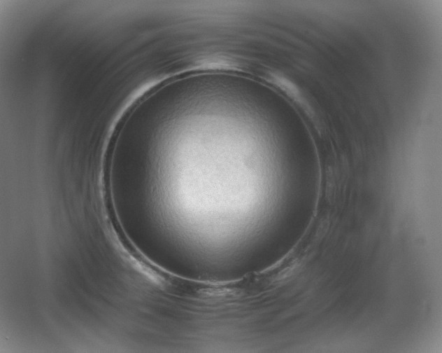 X0000067831331200604171117