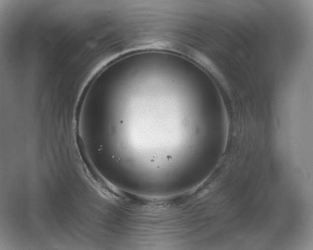 X0000067831332200604171117